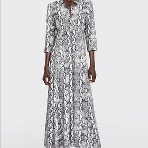 Zara snake skin shirt dress midi